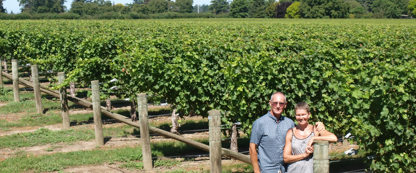 Owners At Vineyard At Vicarage Lane Wines In Blenheim Marlborough NZ